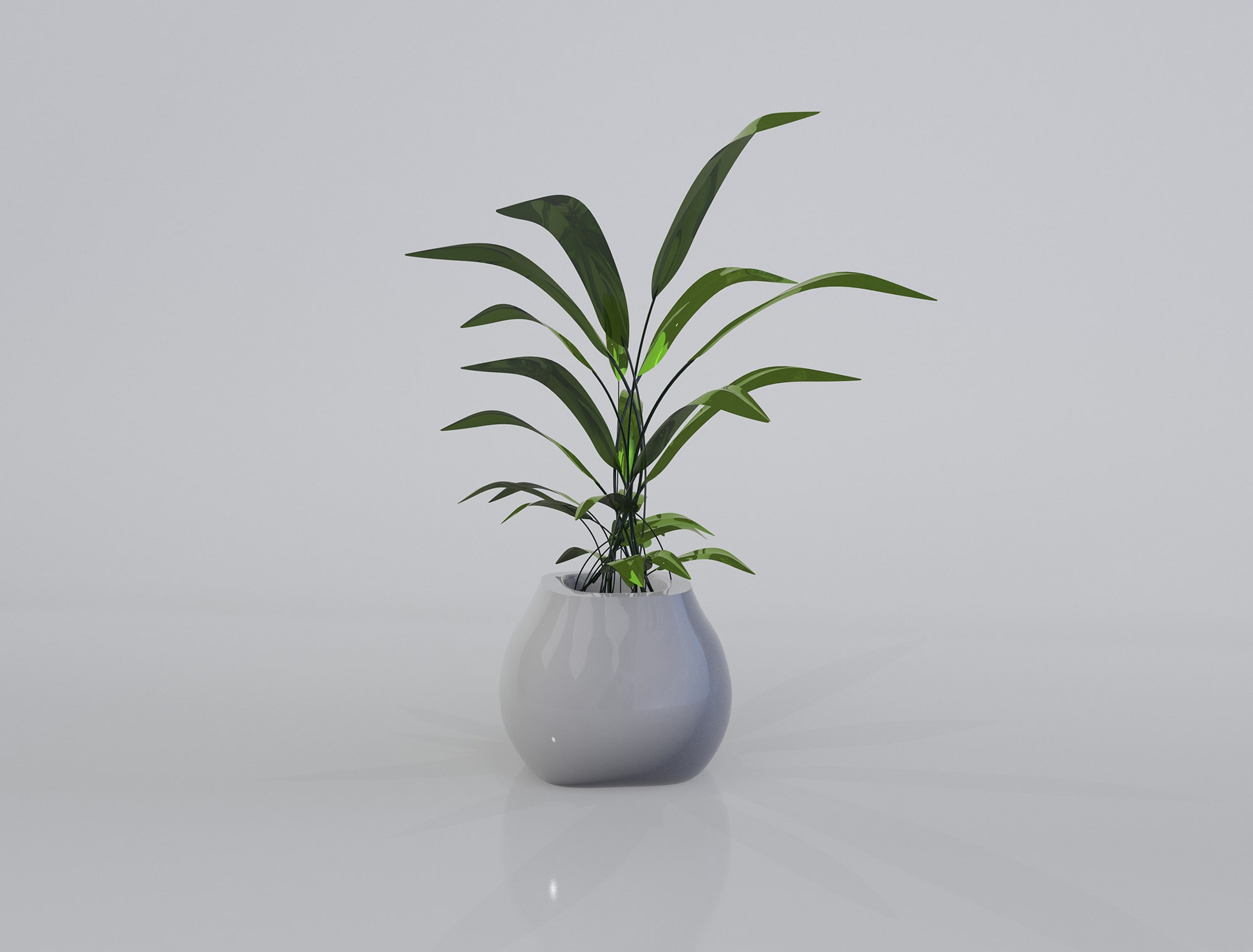 Green FrondandFolia Plant